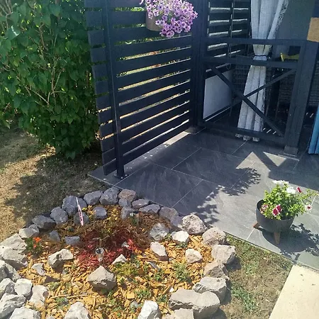 Apt Amor * Bihać